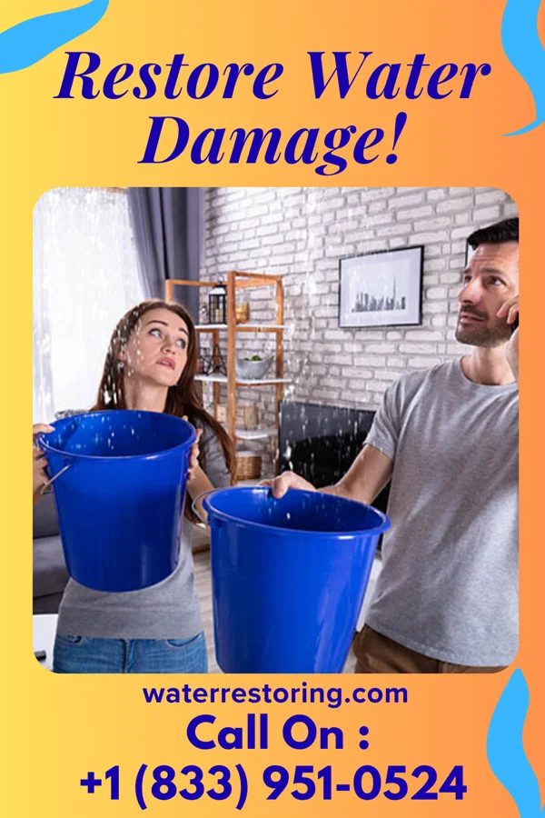 water restoration Prestige Drying Experts North Haledon