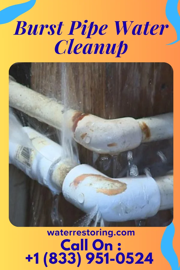 Burst Pipe Water Cleanup in North Haledon, NJ