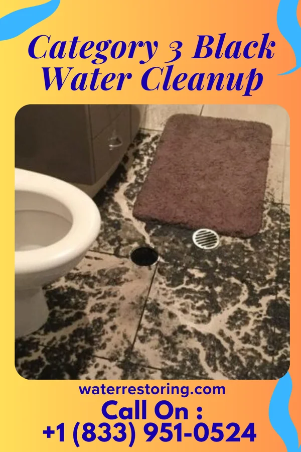 Category 3 Black Water Cleanup in North Haledon, NJ