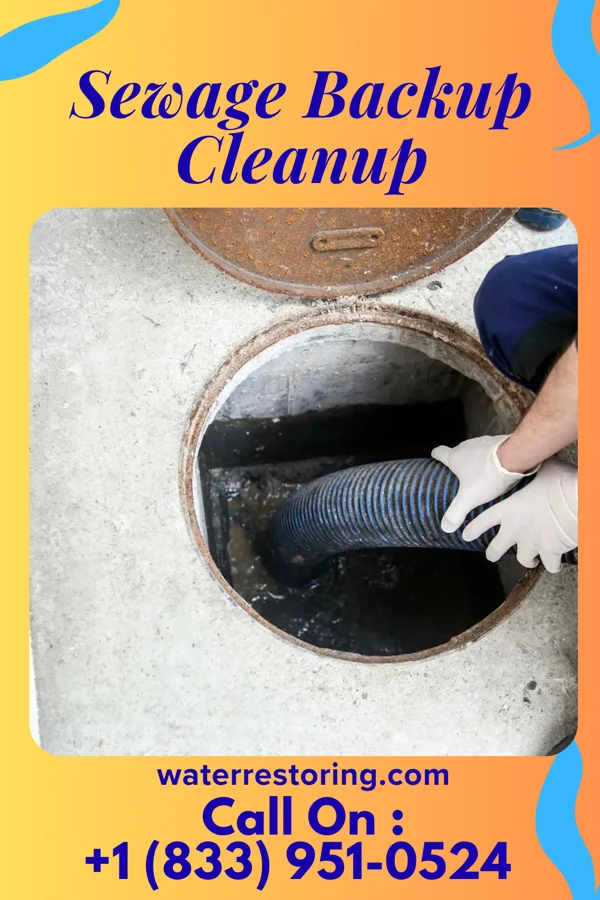Sewage Backup Cleanup in North Haledon, NJ